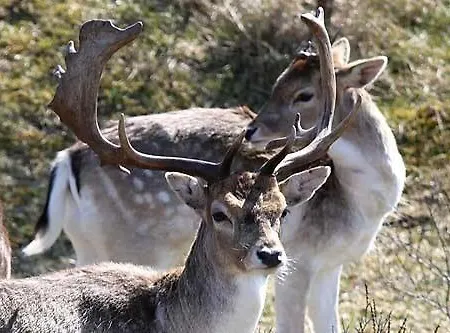 Appartamento Studio Zandvoort