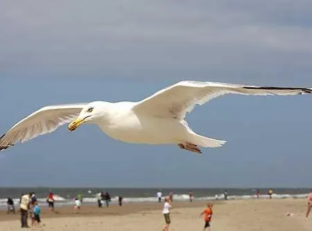 Studio Zandvoort Zandvoort