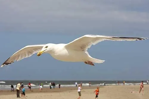 Studio Zandvoort Zandvoort